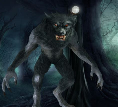 The curse of the werewolves